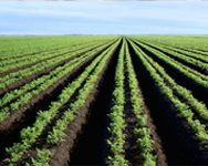 centrifugal_fans_arrangement_a